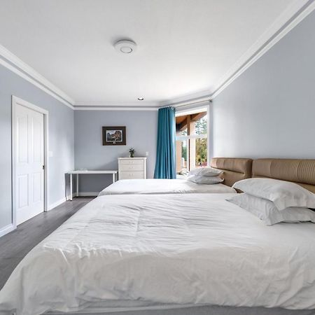 Amy Guesthouse Richmond Extérieur photo